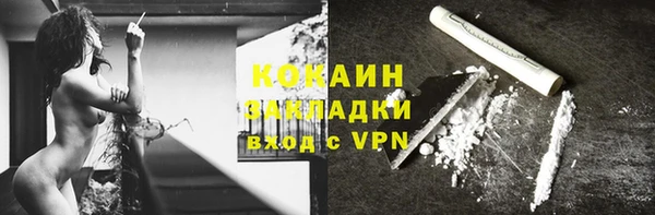 индика Белокуриха