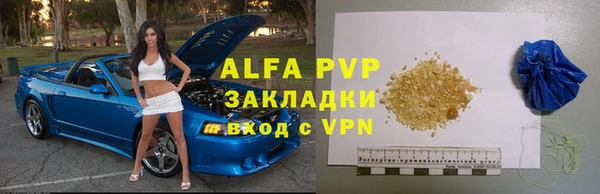 индика Белокуриха