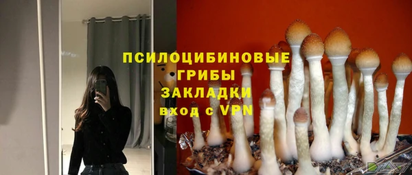 гашик Беломорск