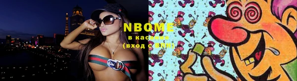 индика Белокуриха