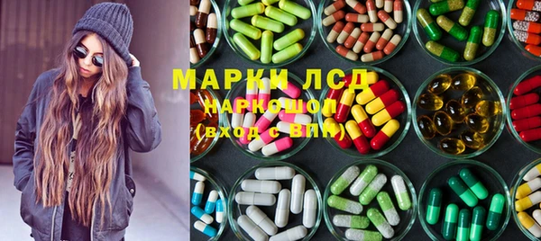 индика Белокуриха
