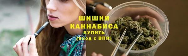 индика Белокуриха
