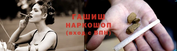 индика Белокуриха