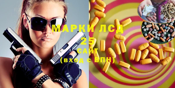 индика Белокуриха