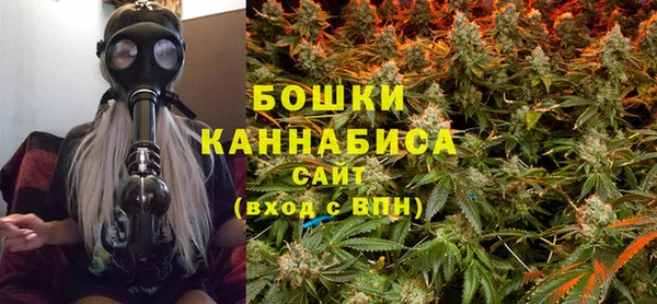 индика Белокуриха