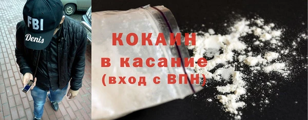индика Белокуриха