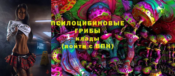 индика Белокуриха