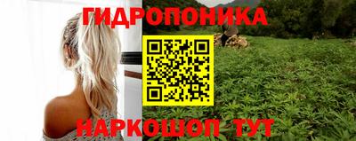 jwh Краснознаменск