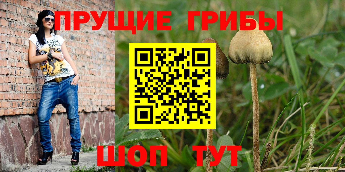 БУТИРАТ Лыткарино