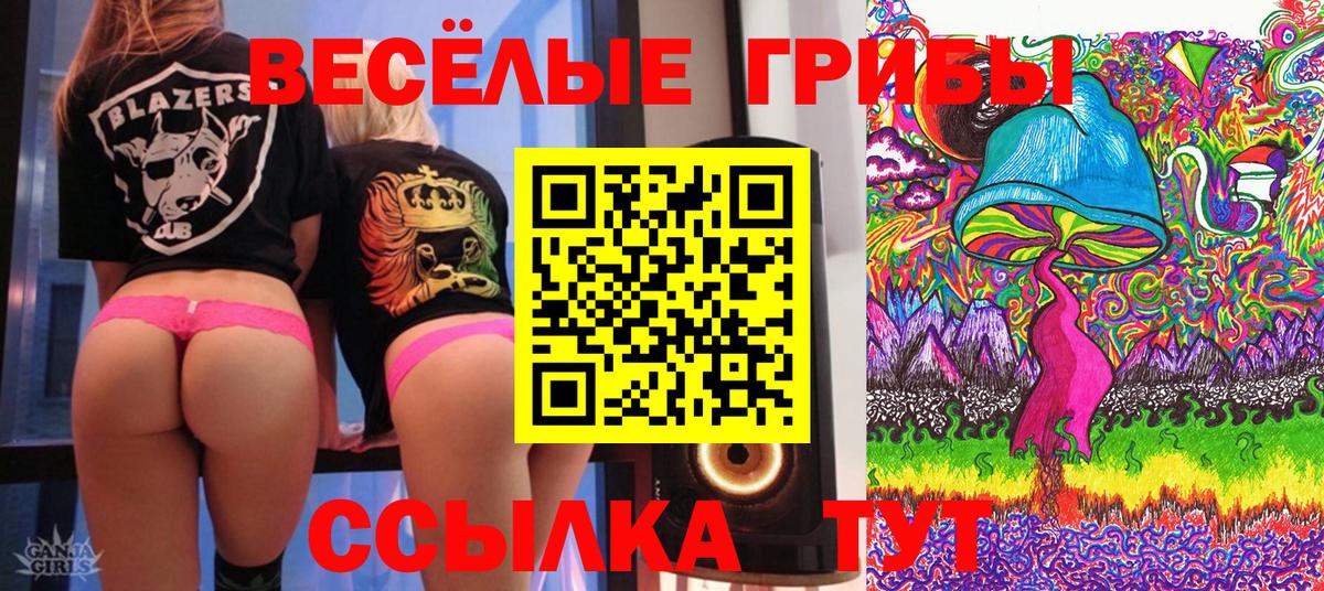 наркота  Галлюциногенные грибы Psilocybine cubensis  Вход с VPN  Лыткарино 
