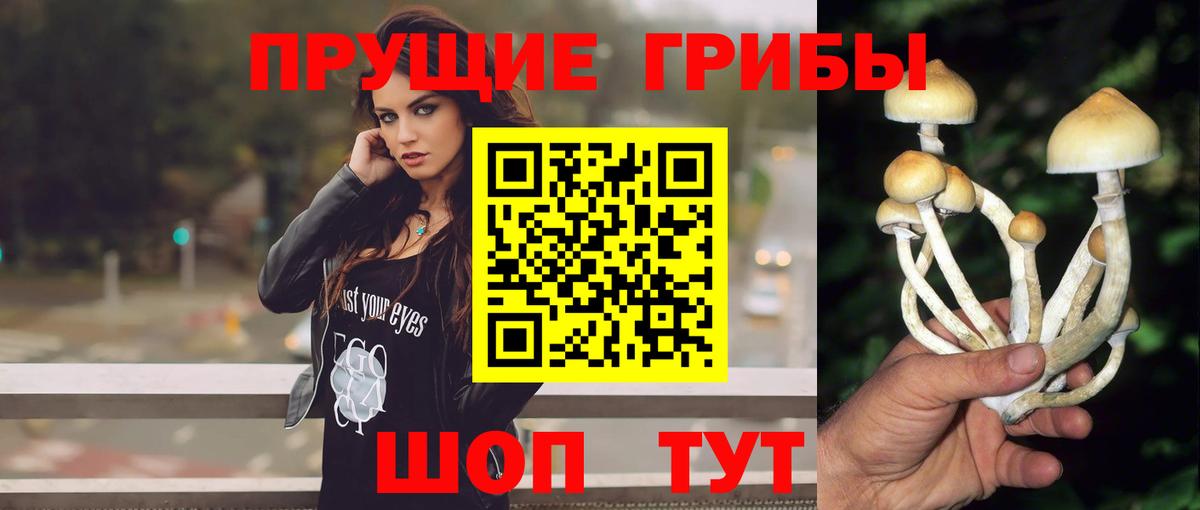 Псилоцибиновые грибы мухоморы Лыткарино